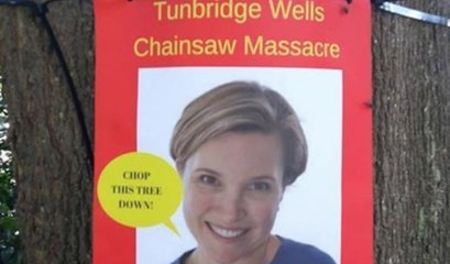 Councillor claims she's being bullied for supporting a controversial project