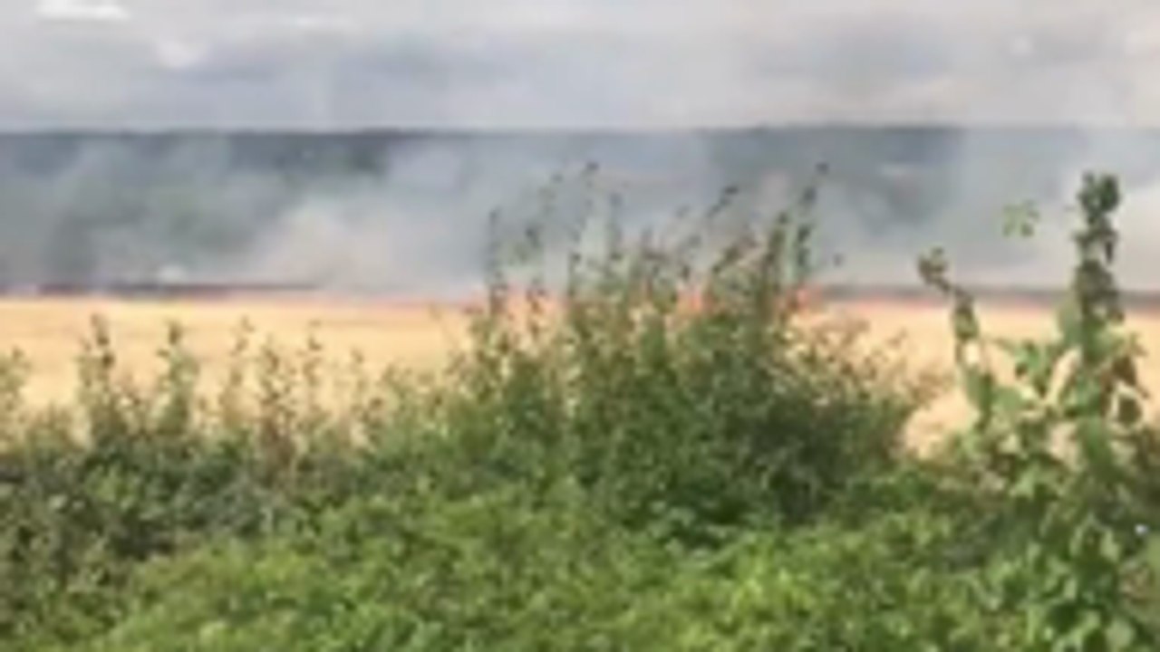 Cornfield fire in West Malling