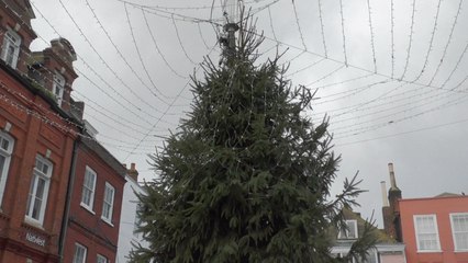 Faversham Christmas Tree decorated halfway to deter young vandals