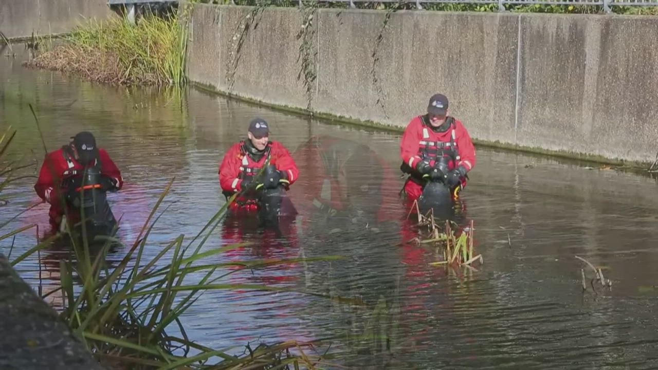 Volunteers join search for missing mum