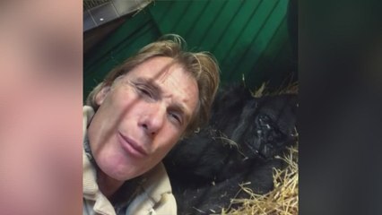 Damian Aspinall posts videos of him with dying gorilla Babydoll on Instagram