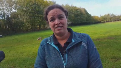 Dead sheep after dog attack (Interview one)