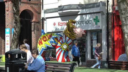 Snowdogs Art Trail launches, based on Raymond Briggs' classic story