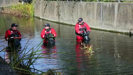 Police search for Sarah Wellgreen continues