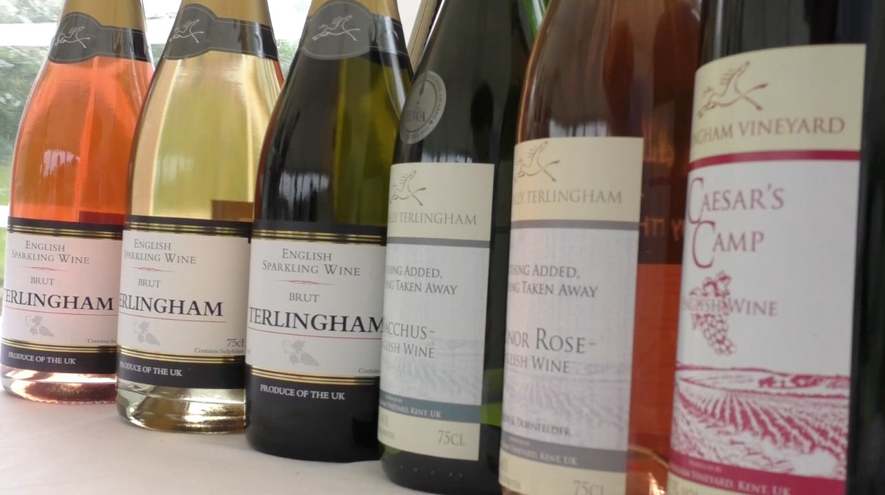 Made in Kent: Terlingham Vineyard