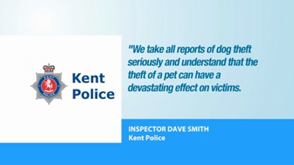 Dog thefts on the rise
