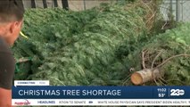 How the national Christmas tree shortage affects Bakersfield