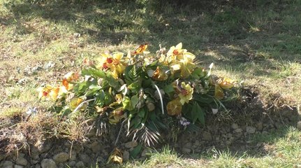 Man from Kent awarded with gravedigger of the year title