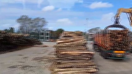 Biomass plant capable of powering 50,000 homes unveiled at Discovery Park in Sandwich