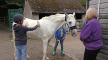 Contact with horses helping Ashford youngsters de-stress