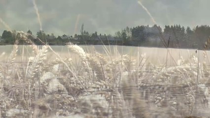 Food prices to increase as a result of extreme weather conditions