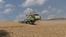 Kent Farms suffer during heat in the South East