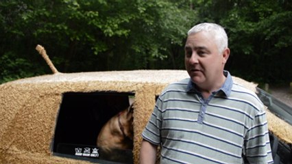 Man transforms old Volkswagen into canine cruiser for his dogs