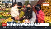 전국 곳곳 축제 재가동…마스크 쓴 나들이객 '북적'