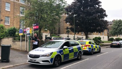 Police in Greenhithe after alleged firearms incident