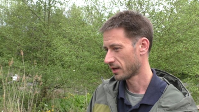 Kent Wildlife Trust says barn owl numbers on the rise