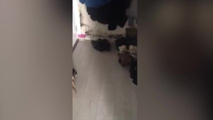 Damp conditions in Canterbury home