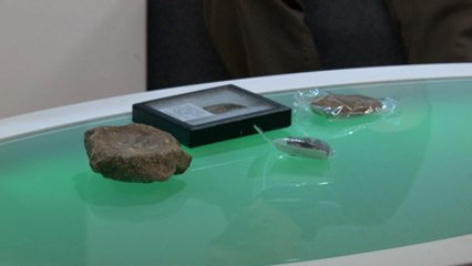 Interactive dinosaur map launched in Kent