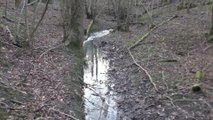 Somerhill Stream near Tonbridge threatens local wildlife