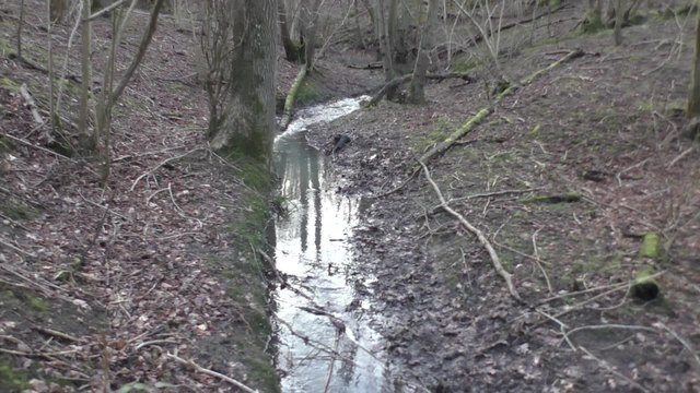 Somerhill Stream near Tonbridge threatens local wildlife