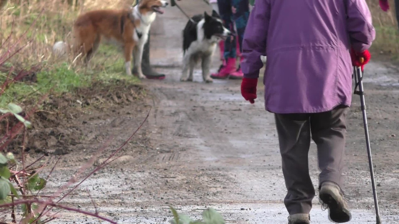 Sevenoaks Walking Group helping to improve mental health