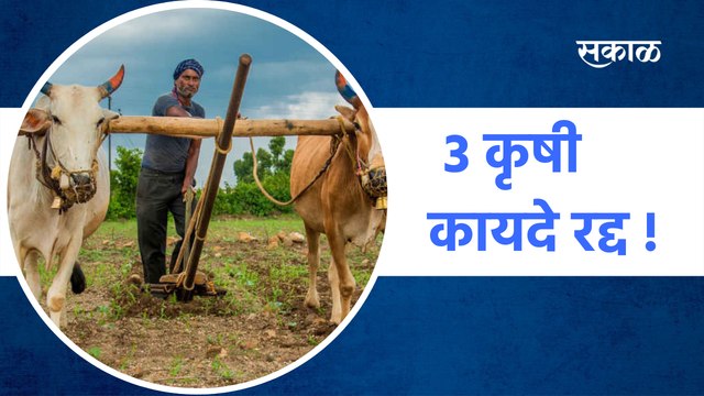 ३ कृषी कायदे रद्द ! | Sakal Media
