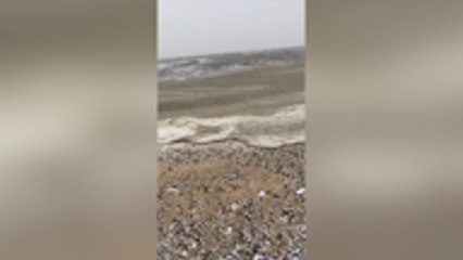 The sea has frozen at The Leas in Minster on Sheppey