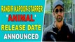 Ranbir Kapoor-starrer 'Animal' release date announced