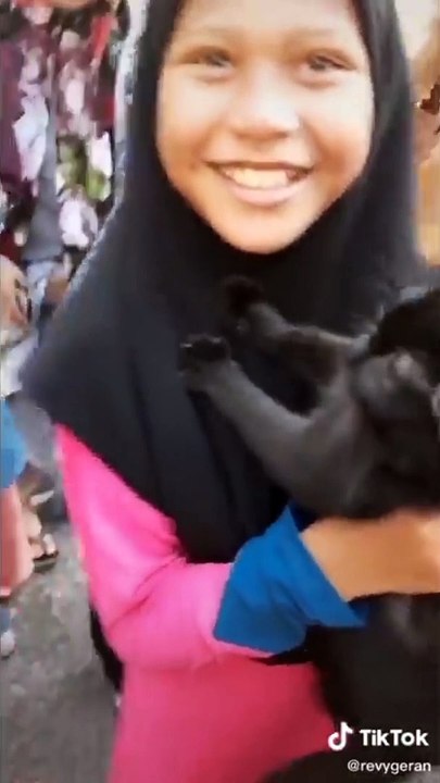 Este gato puede hablar ! WOW