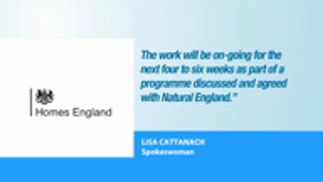 Don't bulldoze the birds - Campaigners angry at alleged work on protected land