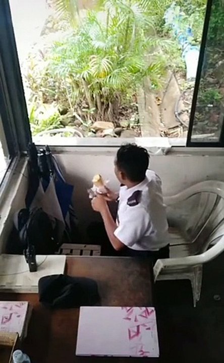 Un mono contra un guardia de seguridad