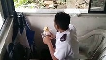 Un mono contra un guardia de seguridad