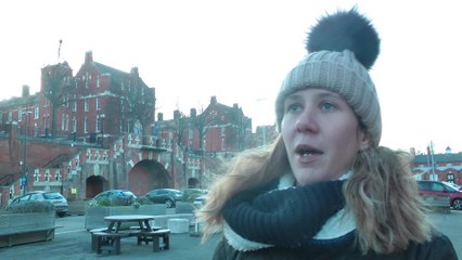 What do you think of Boris Johnson's idea to build a bridge across the English Channel?