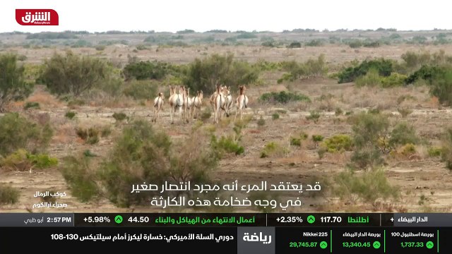 ...خطر الانقراض . بعد تجفيف البحر ، لم يكن ...