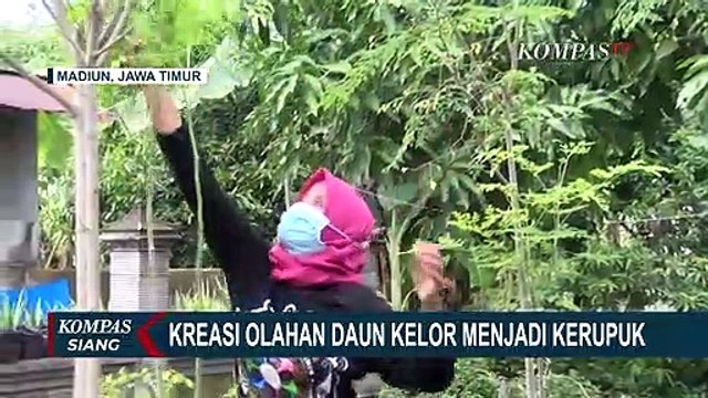 Gurih dan Renyah! Seorang Ibu di Madiun Berhasil Olah Daun Kelor Jadi Kerupuk