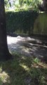 Flooding after water main bursts in Folkestone