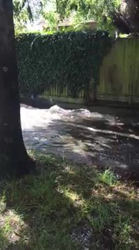 Flooding after water main bursts in Folkestone