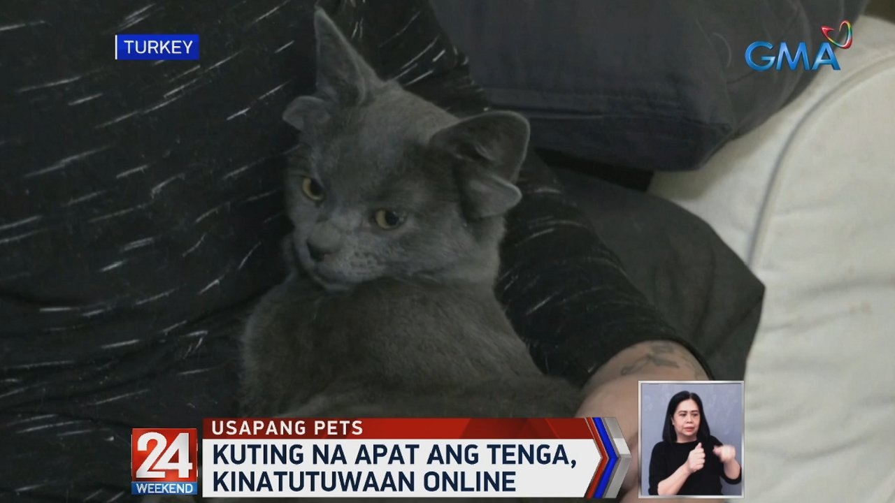 Kuting na apat ang tenga, kinatutuwaan online | 24 Oras Weekend