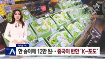 [세계를 가다]한 송이에 12만 원…중국이 반한 ‘K-포도’