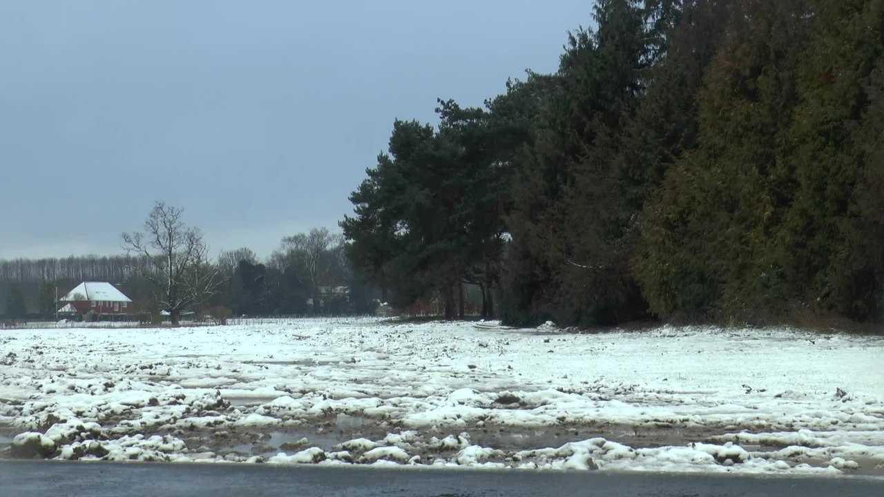Snow and ice causes chaos