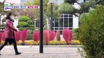 뇌경색을 극복한 그녀의 건강밥상 ☆大공개★ TV CHOSUN 20211121 방송