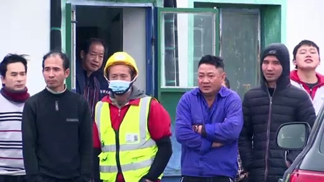 Explotación laboral china en Serbia | Cientos de obreros vietnamitas en condiciones miserables