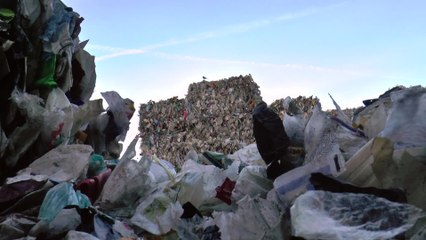 South East third in UK for recycling