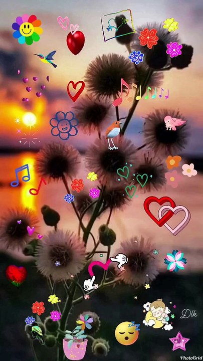 Happy day photos and videos