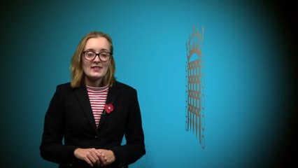 MPs caught up in alleged sexual misconduct scandal