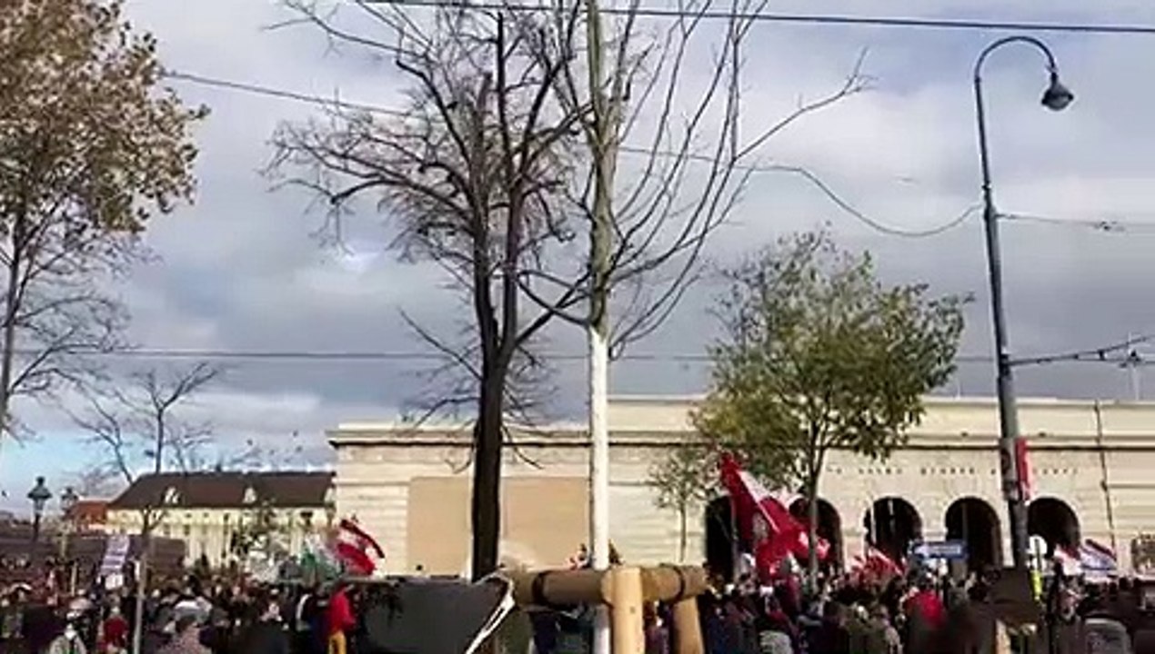 Martin Rutter spricht bei der Corona-Demonstration in Wien