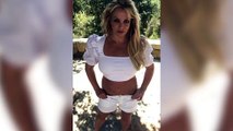 Una juez devuelve a Britney Spears su tutela legal tras 13 años controlada por su padre