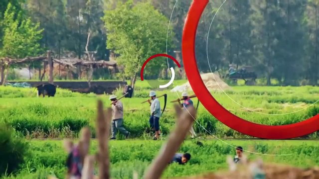 ...ساعدت يرفع القيمة الاجمالية في العام الح...