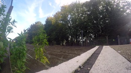 Network Rail call for pedestrians to take more care at Bobbing level crossing