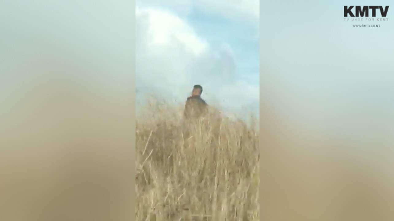 Robbie Williams fan crashes car